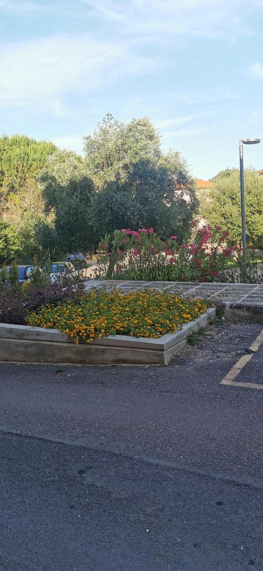 La Mariposa Villa Iglesias Exteriör bild